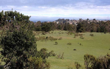 Alto Ilimay – Las Cruces