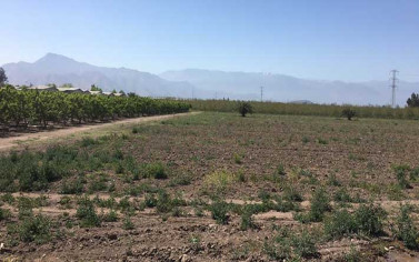 Terreno Buin-Villaseca